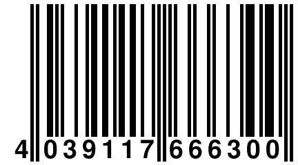 4 039117 666300