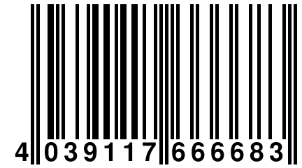 4 039117 666683