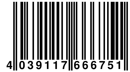 4 039117 666751