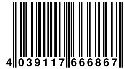 4 039117 666867