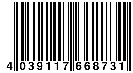 4 039117 668731