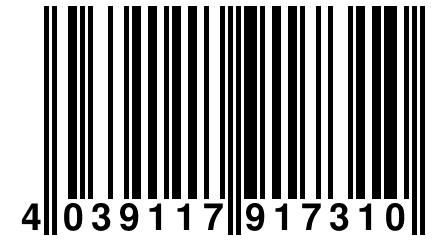 4 039117 917310