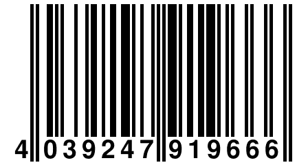 4 039247 919666