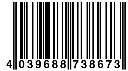 4 039688 738673
