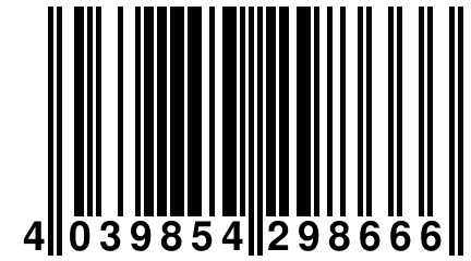 4 039854 298666