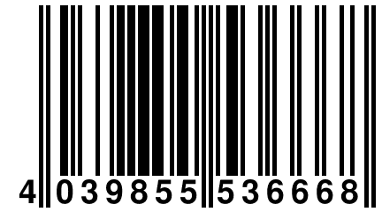 4 039855 536668