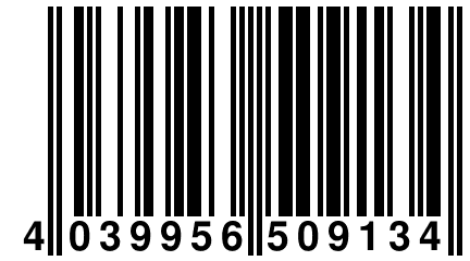 4 039956 509134