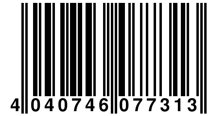 4 040746 077313