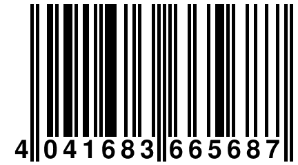 4 041683 665687