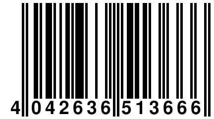 4 042636 513666