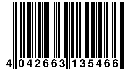 4 042663 135466