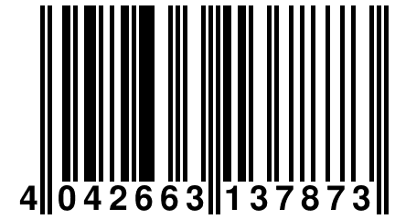 4 042663 137873
