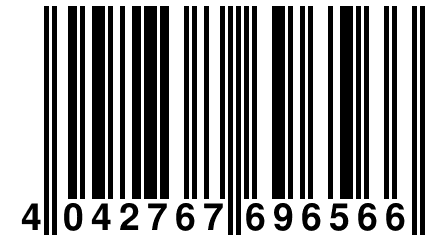 4 042767 696566