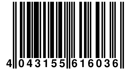 4 043155 616036