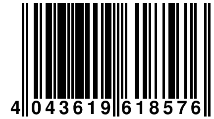 4 043619 618576