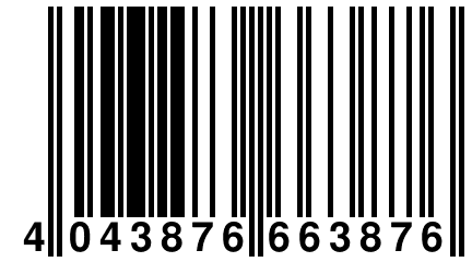 4 043876 663876