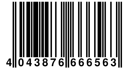 4 043876 666563