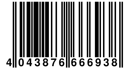 4 043876 666938