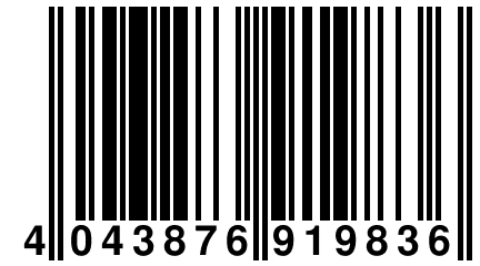 4 043876 919836