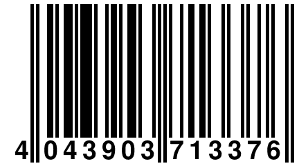 4 043903 713376