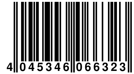 4 045346 066323