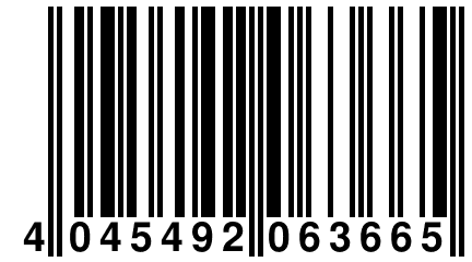 4 045492 063665