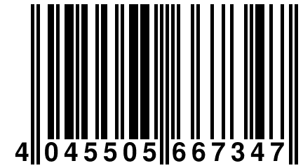 4 045505 667347