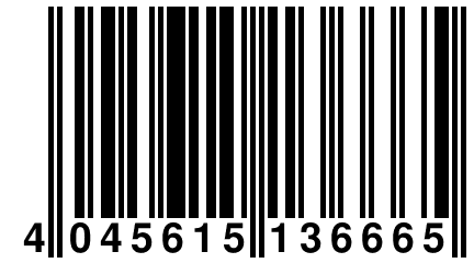 4 045615 136665