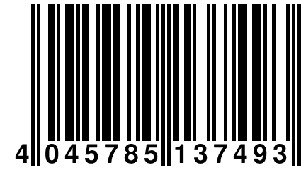 4 045785 137493