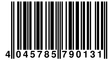 4 045785 790131