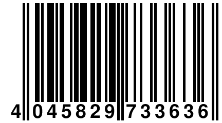 4 045829 733636