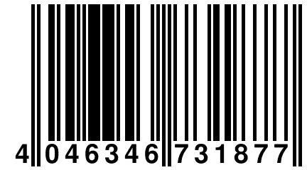 4 046346 731877