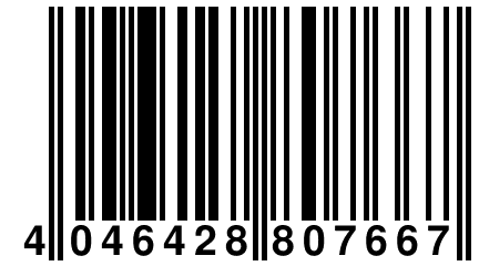 4 046428 807667