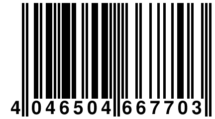 4 046504 667703