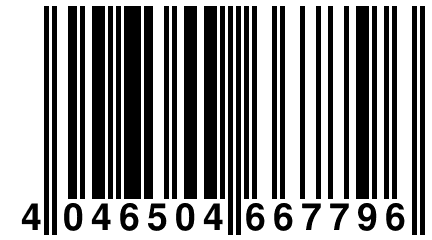 4 046504 667796