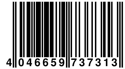 4 046659 737313