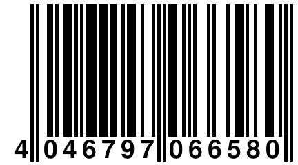 4 046797 066580