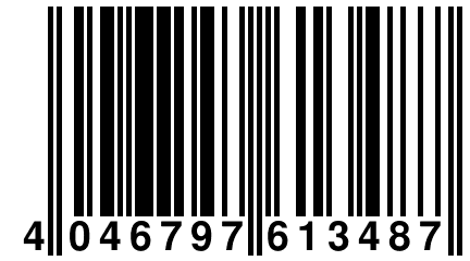 4 046797 613487