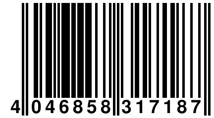 4 046858 317187