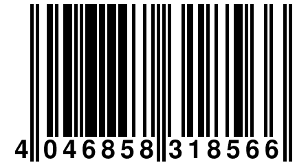 4 046858 318566