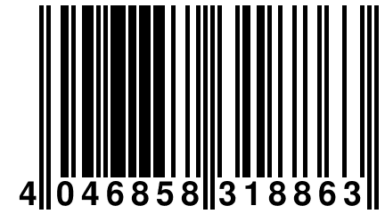 4 046858 318863