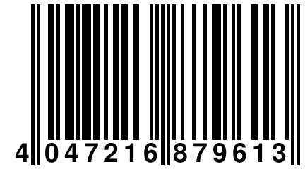 4 047216 879613