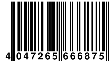 4 047265 666875
