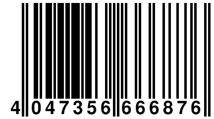 4 047356 666876
