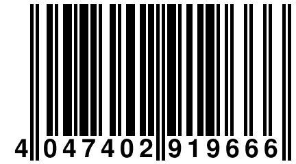 4 047402 919666