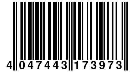 4 047443 173973