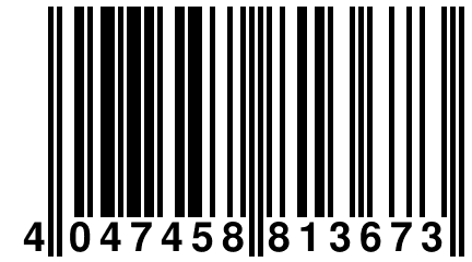 4 047458 813673