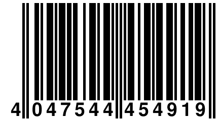 4 047544 454919