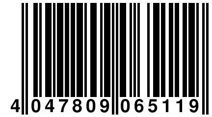 4 047809 065119