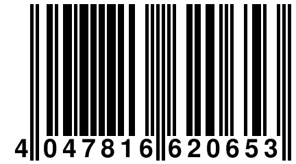 4 047816 620653